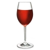 Zestaw kieliszków do wina białego 2szt. PC Flamefield